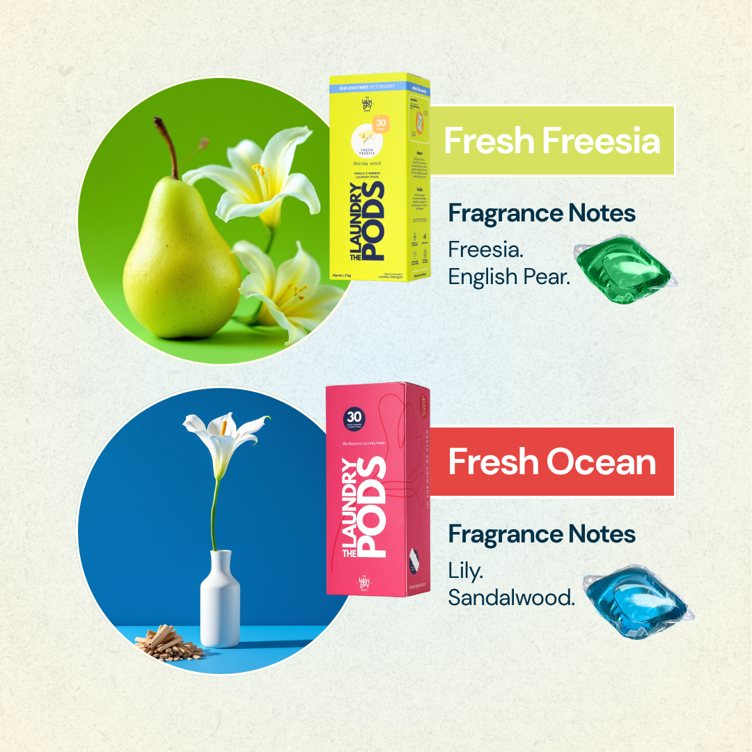 Signature 4 Fragrances Sets | Bio-Degradable Single-Chamber Pods | 120 Pods