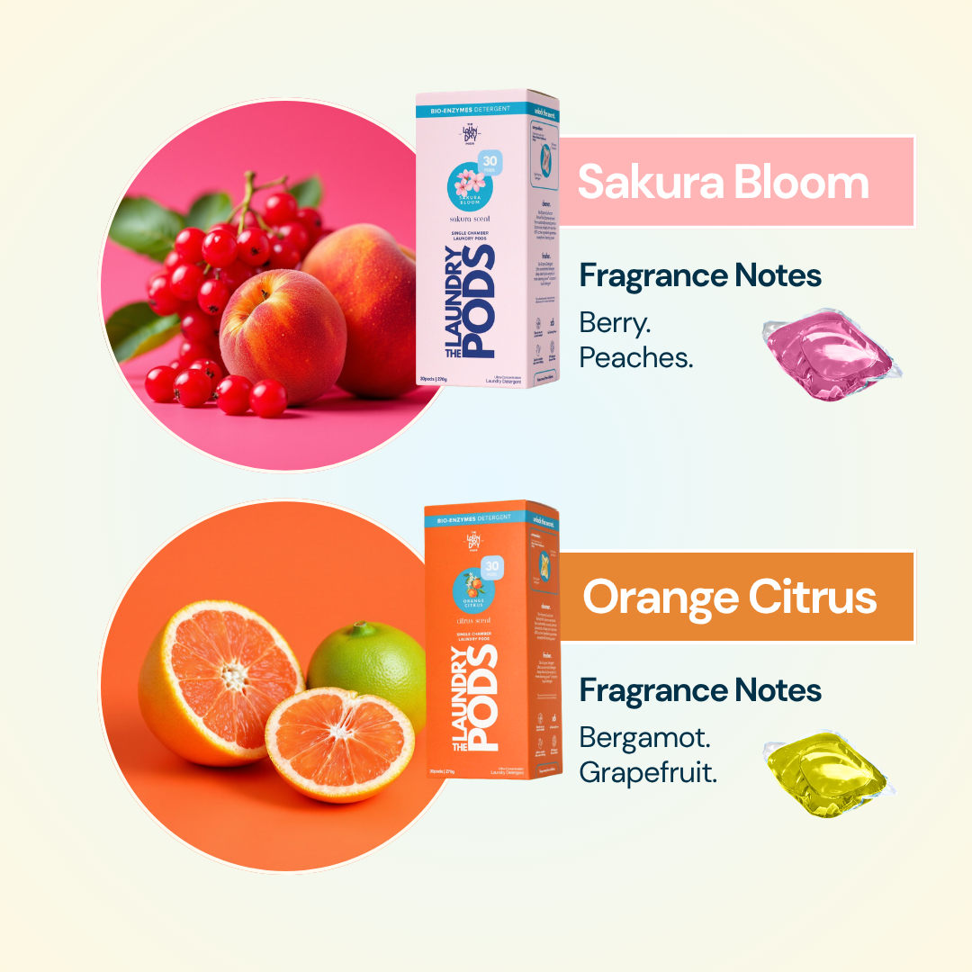 Signature 4 Fragrances Sets | Bio-Degradable Single-Chamber Pods | 120 Pods