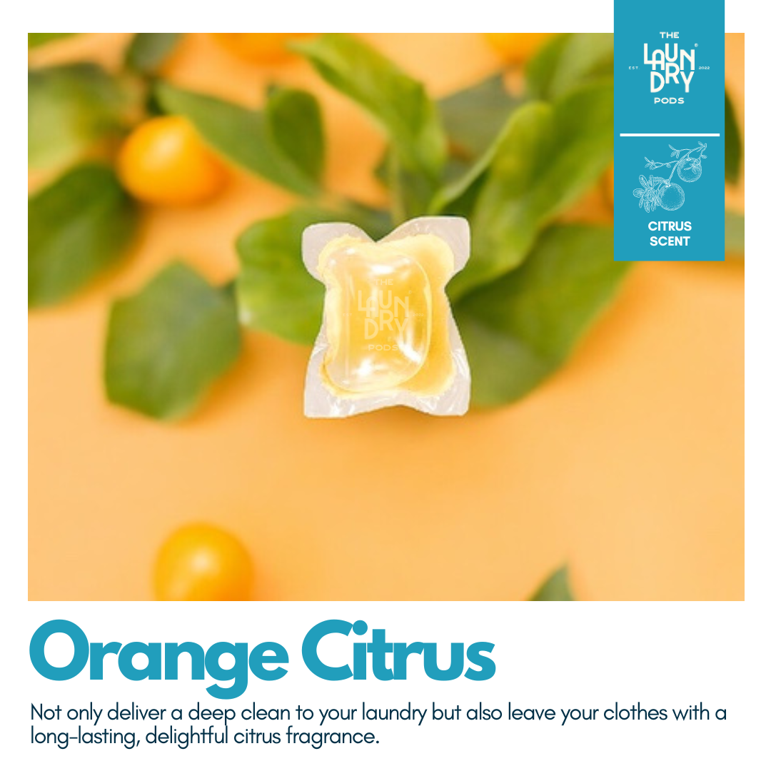 Orange Citrus | Bulk Pack | 30pcs Biodegradable Laundry Pods | by The Laundry Pods