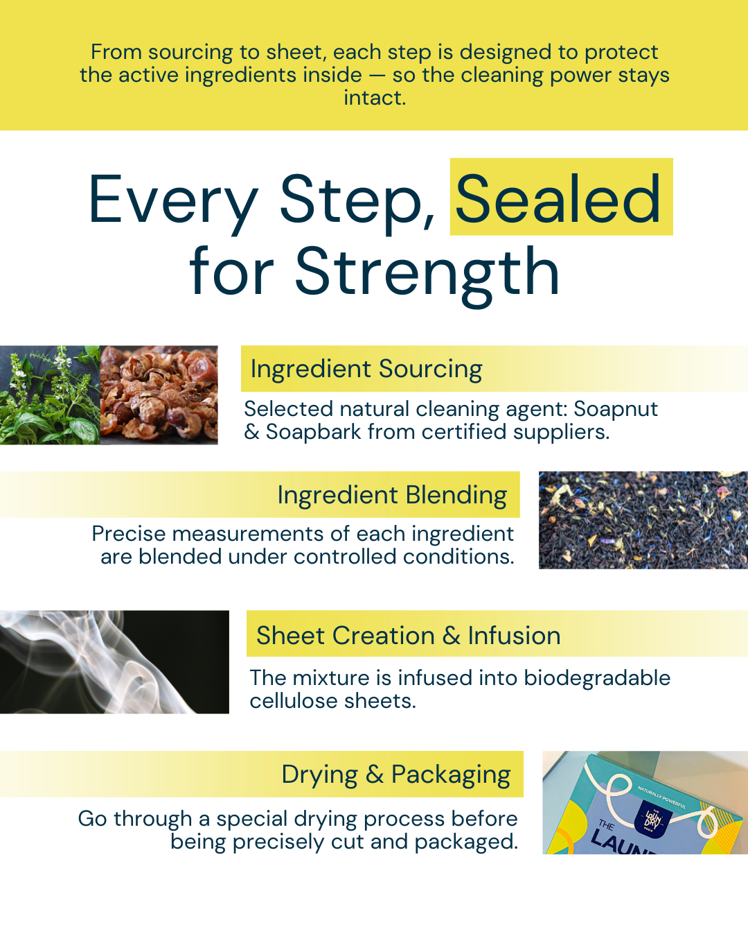 Deep Clean  | Bio-Enzyme Laundry Sheets | The Laundry Sheets